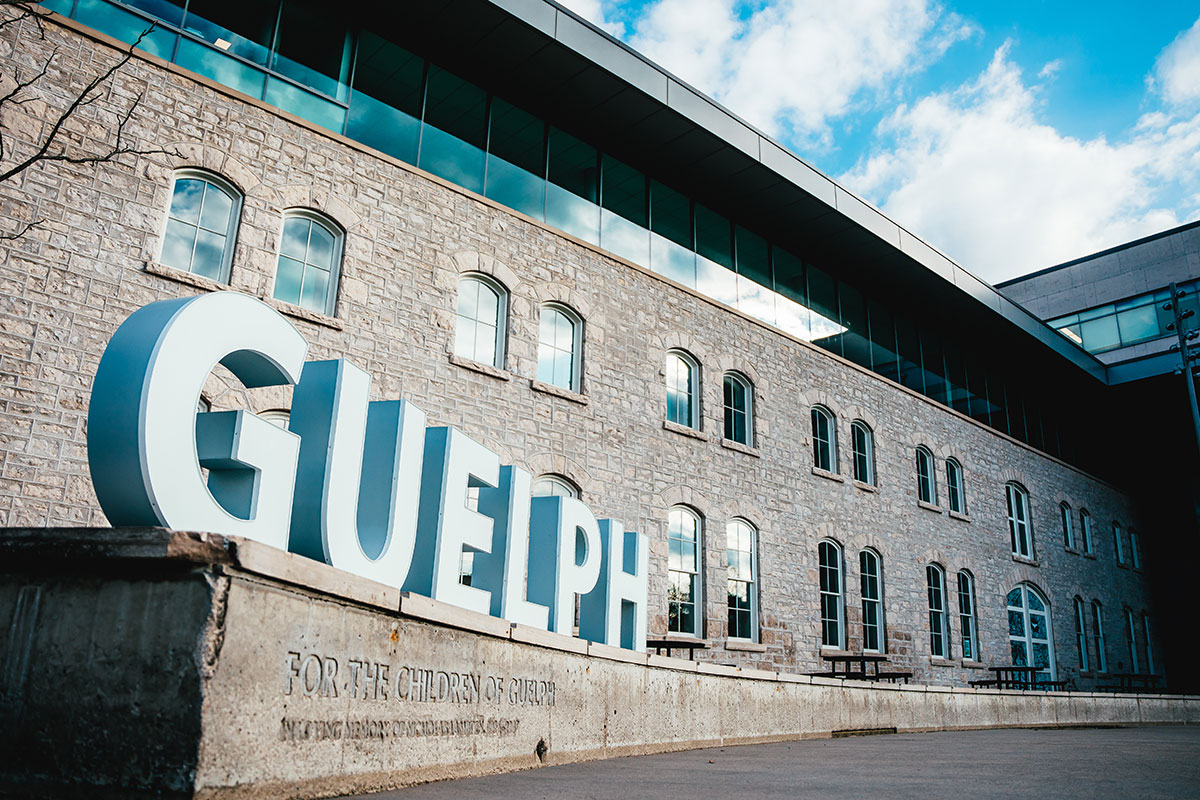 City Hall with Market Square in the foreground